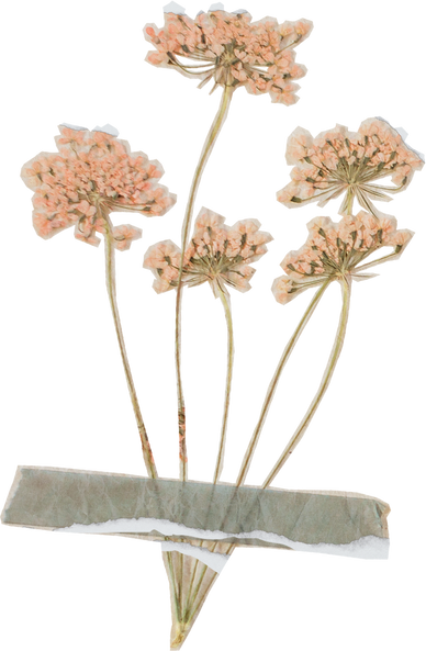 Vintage Feminine Romantic Taped Flowers Cutout